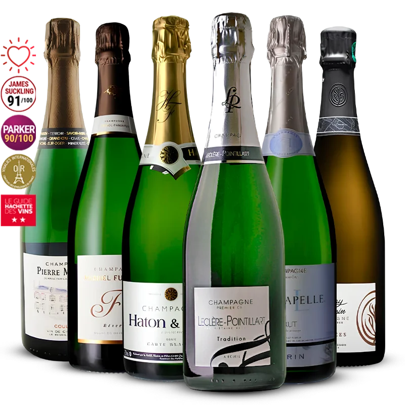 Pack 6 Champagne de Vignerons  4.5l